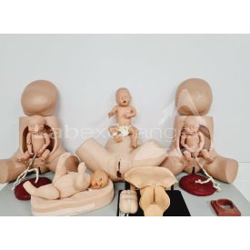 -CR2488238-AA00072038