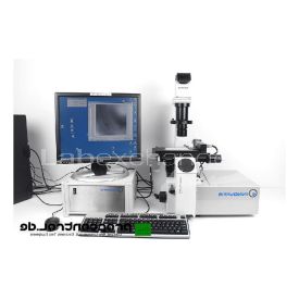 -CR3632241-AA00061731