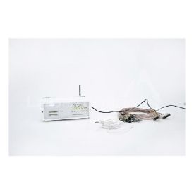 -CR4056965-AA00067546