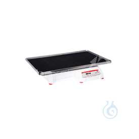 -LCT30391886-A00101225