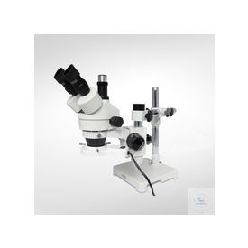 -LCTMSZ5000TSRL-A00094356