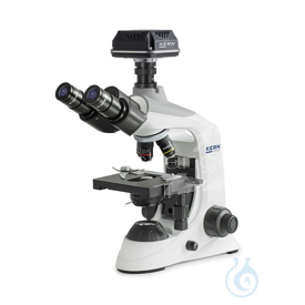 -LCTOBE124C832-A00102506