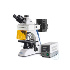 -LCTOBN141-A00098143