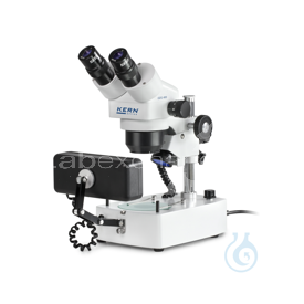 -LCTOZG493-A00099776