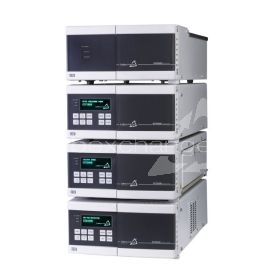 ECOM ECS01, quaternäre HPLC