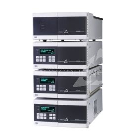 ECOM ECS02, quaternäre HPLC